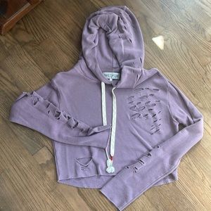 Wildfox Cropped Hoodie